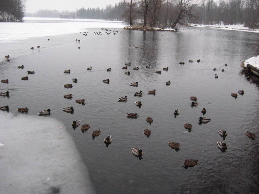 photo19.jpg