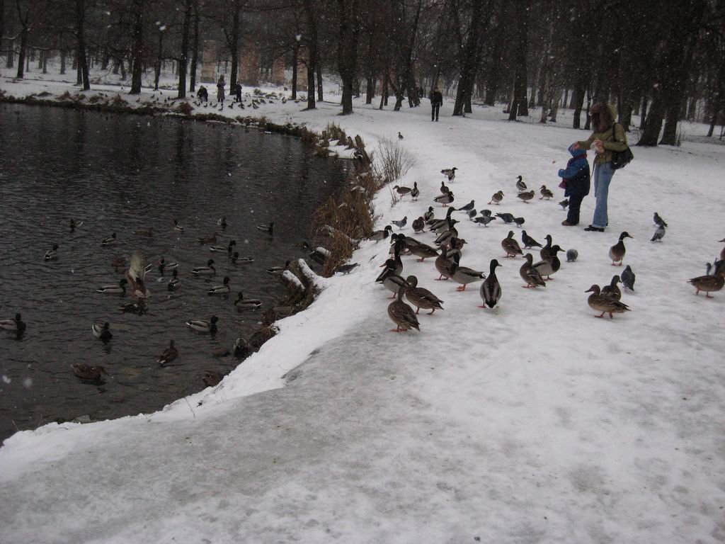 photo20.jpg