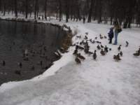 photo20_small.jpg