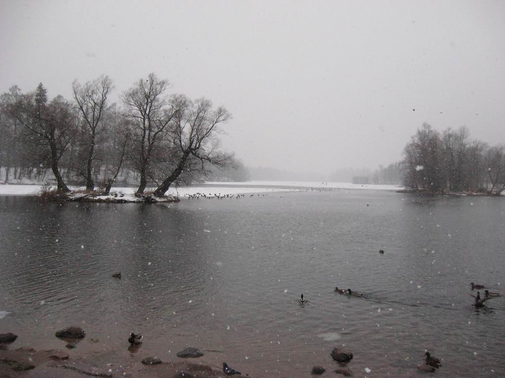 photo21.jpg