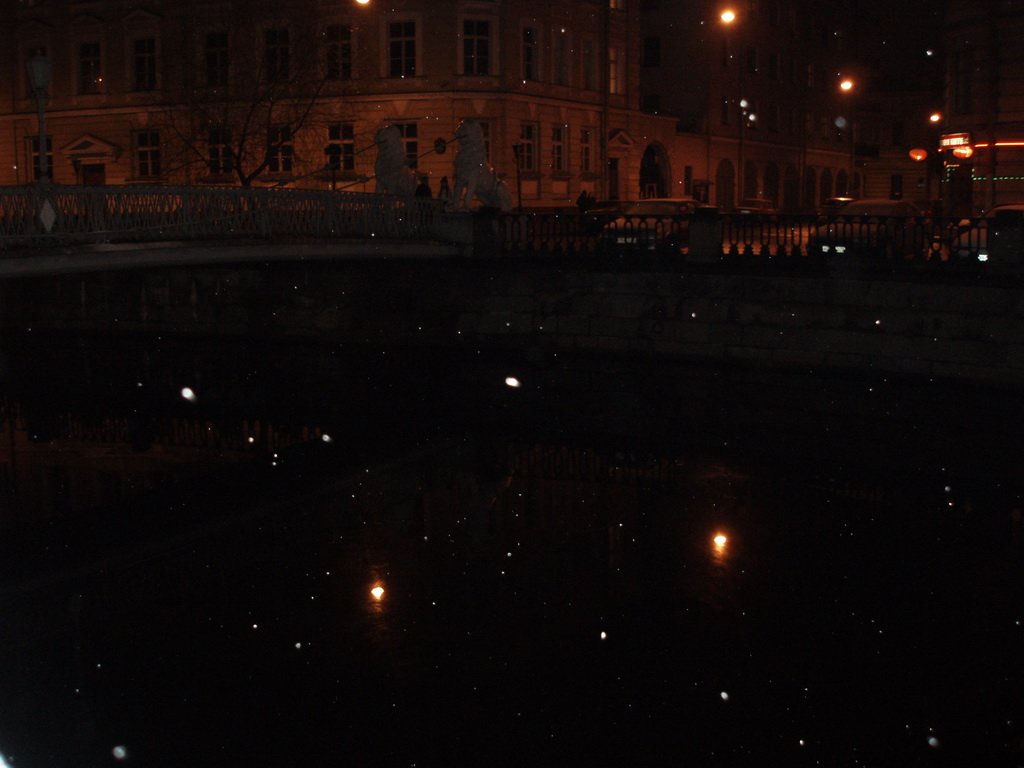 photo7.jpg